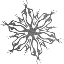 snowflake 4 icon
