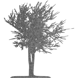 tree 15 icon