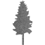 tree 19