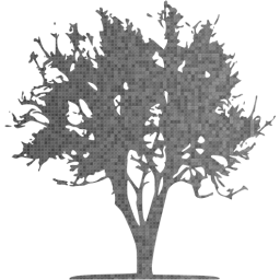 tree 21 icon