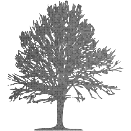 tree 24 icon