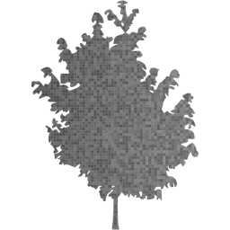 tree 25 icon