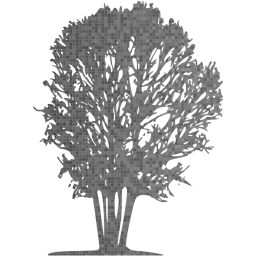 tree 31 icon