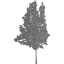 tree 35