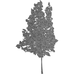 tree 35 icon
