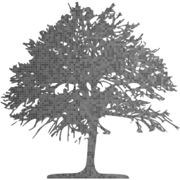 tree 46 icon