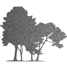 tree 56 icon