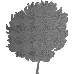 tree 61 icon