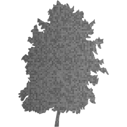 tree 73 icon