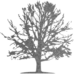 tree icon