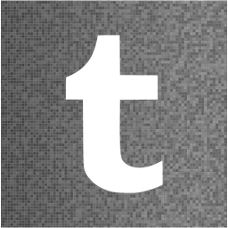 tumblr 2 icon