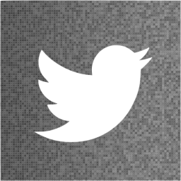 twitter 2 icon