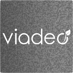 viadeo 4 icon