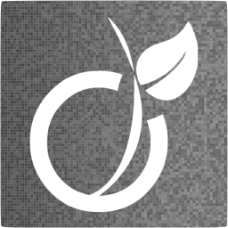 viadeo 5 icon