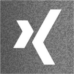 xing 2 icon