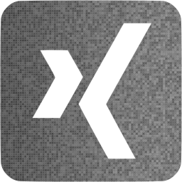 xing 3 icon