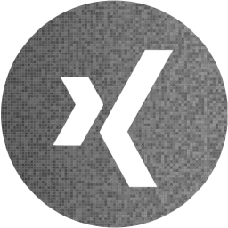 xing 4 icon
