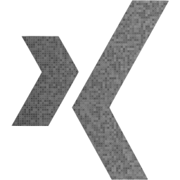 xing icon