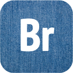 adobe br icon