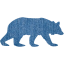 bear 5