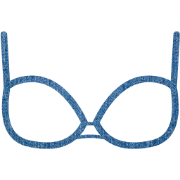 bra 2 icon