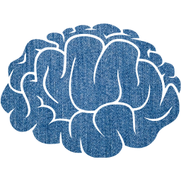brain 2 icon