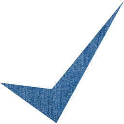check mark 10 icon