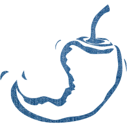 chili pepper 18 icon