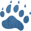 footprints bear