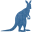 kangaroo