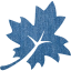 leaf 3