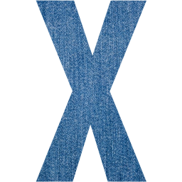 letter x icon