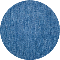 record icon