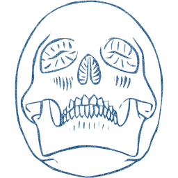 skull 29 icon