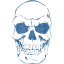 skull 41