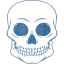 skull 55