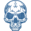 skull 61