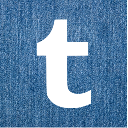 tumblr 2 icon