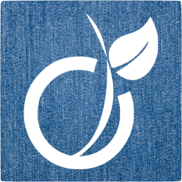viadeo 5 icon