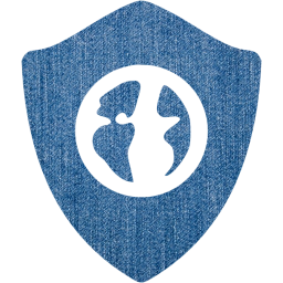 web shield icon