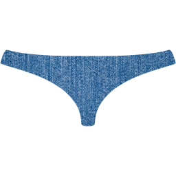 womens underwear icon