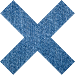 x mark icon