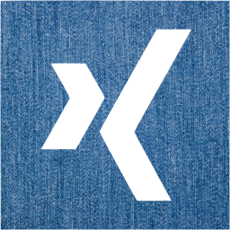 xing 2 icon