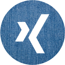 xing 4 icon