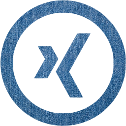 xing 5 icon