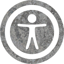 accessibility 2 icon