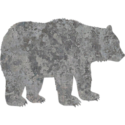 bear 2 icon