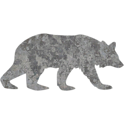 bear 5 icon