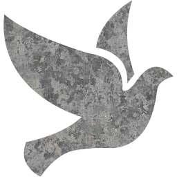 bird 2 icon