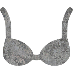 bra icon